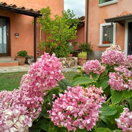 B&B Dama Sarzana Dış mekan fotoğraf