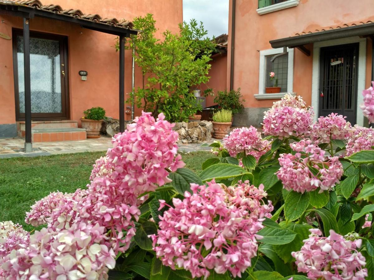 B&B Dama Sarzana Dış mekan fotoğraf